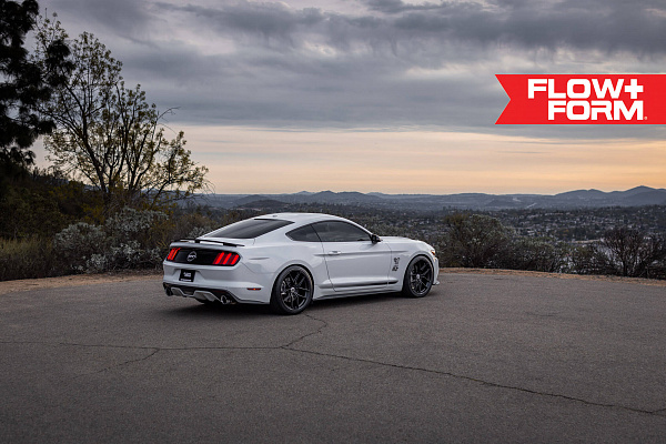 Фото дисков HRE FF21 Черный сатин на Ford Mustang VI