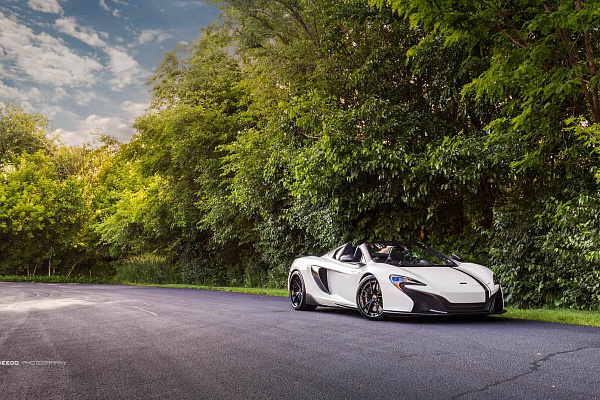 Фото дисков HRE S101 Черный глянец на McLaren 650S
