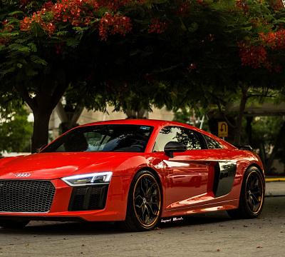 Фото дисков HRE S201 на Audi R8 (4S)