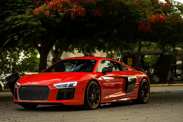 Фото дисков HRE S201 Сатиновая бронза на Audi R8 (4S)