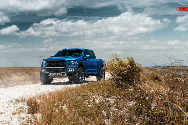Фото дисков Anrky AN36 Сатиновый лак на Ford F-150 XIII