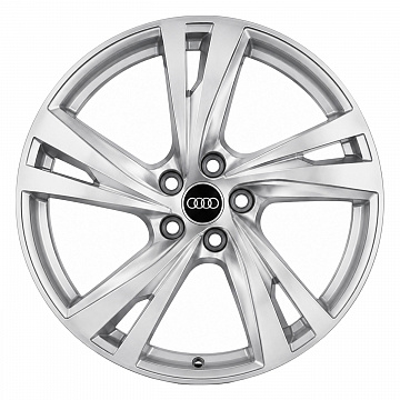Кованые диски Audi 5 Arm Twist 41I