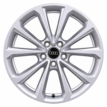 Кованые диски Audi 5 Twin Spoke 41I