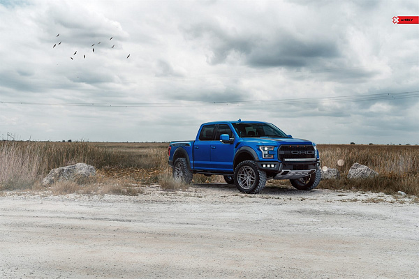 Фото дисков Anrky AN36 Сатиновый лак на Ford F-150 XIII