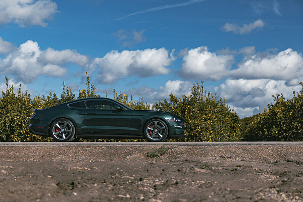 Фото дисков American Racing TTF Сатиновый графит на Ford Mustang VI