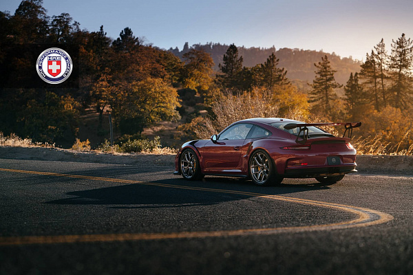 Фото дисков HRE R101 Lightweight Глянцевый тонированный лак на Porsche 911 VII