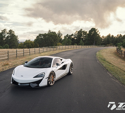 Фото дисков HRE P204 на McLaren 570S