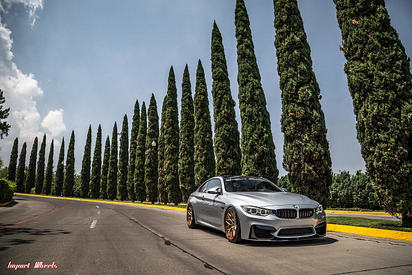 Фото дисков Vossen S17-01 (3-Piece) Глянцевый лак на BMW 4/M4 (F32/F82)