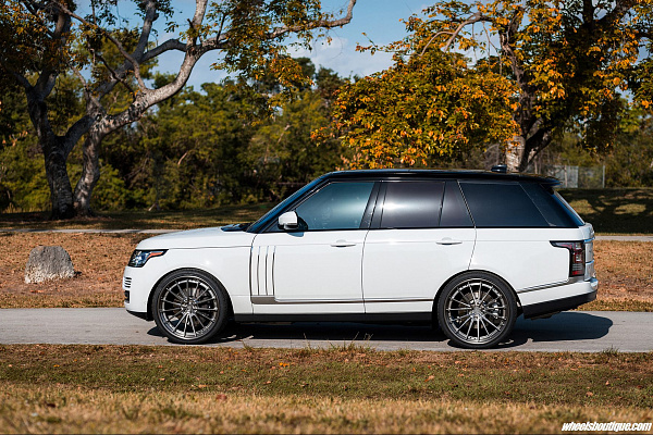 Фото дисков Anrky AN39 Глянцевый тонированный лак на Land Rover Range Rover IV
