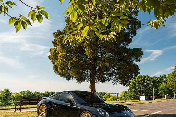 Фото дисков HRE S101SC Глянцевое золото на Porsche 911 VIII