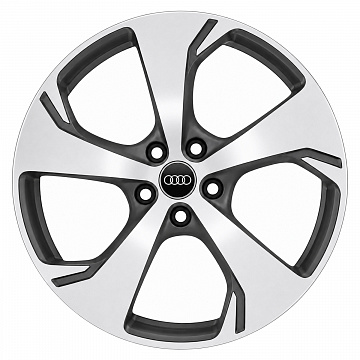 Кованые диски Audi 5 Arm Falx U36