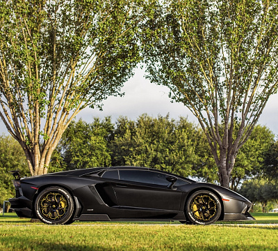 Savini SV69