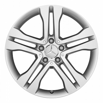 Кованые диски Mercedes-Benz 5 Twin Spoke v11