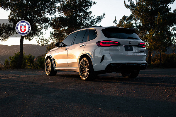 Фото дисков HRE P103SC Сатиновое золото на BMW X5/X5 M (G05/G18/F95)