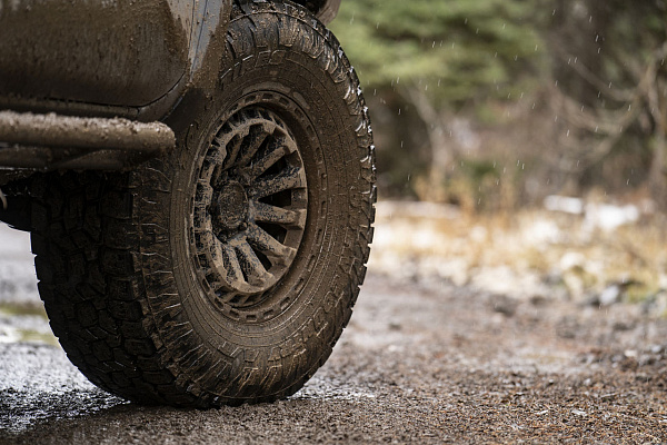 Toyota Tacoma TRD