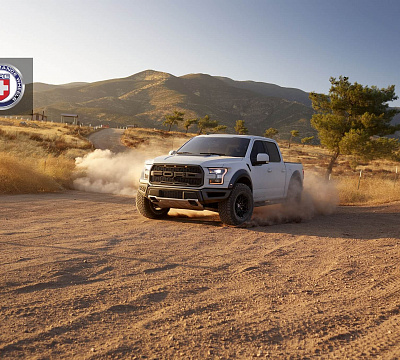 Фото дисков HRE P161 на Ford F-150 XIII
