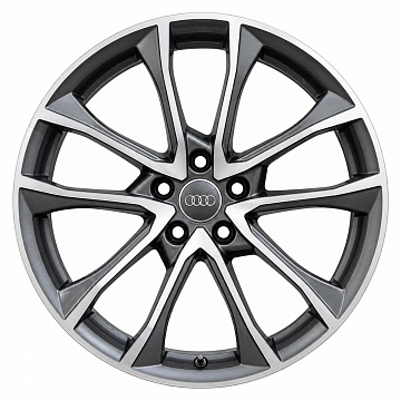 Кованые диски Audi 5 Double Spoke 8W