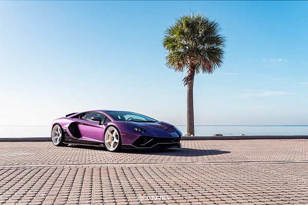 Фото дисков Anrky RS5.3 Белый глянец на Lamborghini Aventador