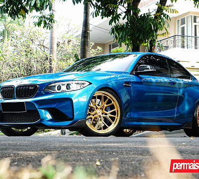 Vossen ML-X3