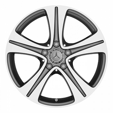 Кованые диски Mercedes-Benz 5 Spoke v24