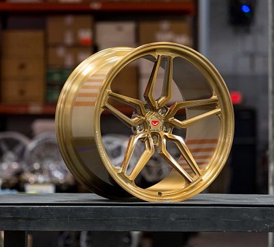 Vossen ML-X1