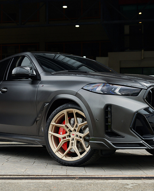 Фото дисков EVO-4 Сатиновая шампань на BMW X6/X6 M (G06/F96)