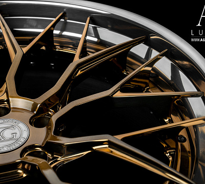 Avant Garde AGL43