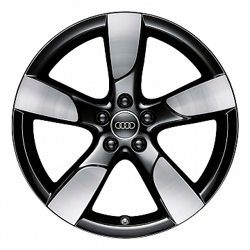Кованые диски Audi 5 Arm Hollow Spoke v1