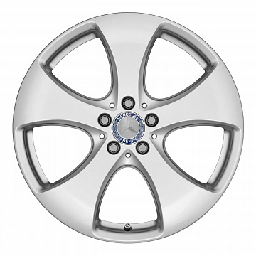 Кованые диски Mercedes-Benz 5 Spoke v6