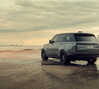 Vossen GEN-04
