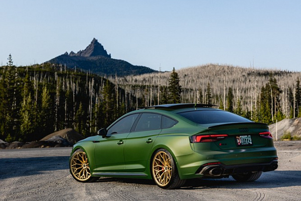 Фото дисков Brixton Forged CM6-R Сатиновая шампань на Audi A/S/RS 5 (F5)