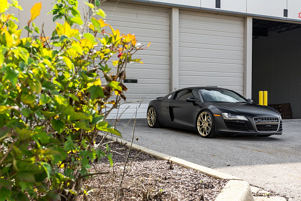 Фото дисков Anrky AN13 Глянцевое золото на Audi R8 (Typ 42)
