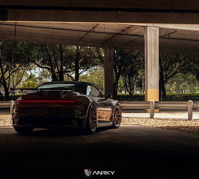 Фото дисков Anrky AN31 на Porsche 911 VIII