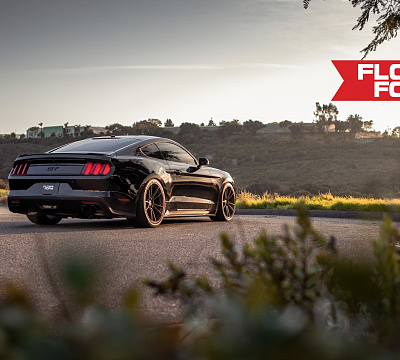Фото дисков HRE FF04 на Ford Mustang VI