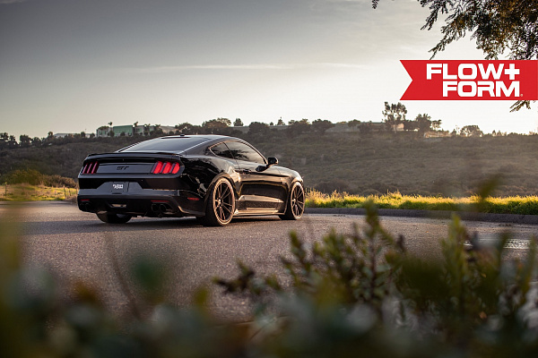 Фото дисков HRE FF04 Сатиновое темное золото на Ford Mustang VI