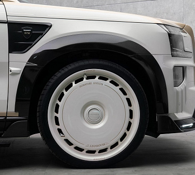 Mansory FT.19