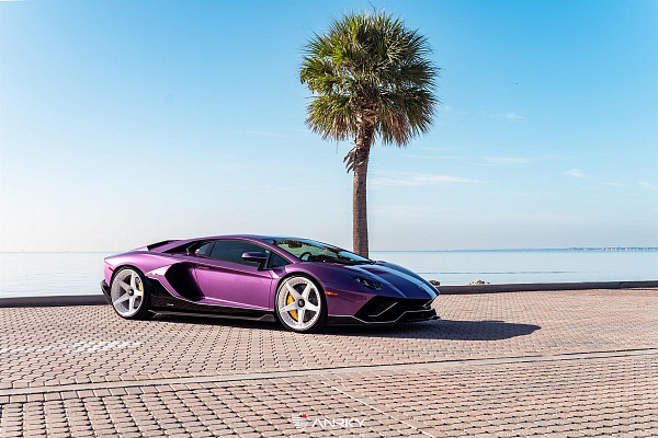 Фото дисков Anrky RS5.3 Белый глянец на Lamborghini Aventador