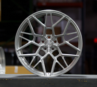 Vossen UV-1