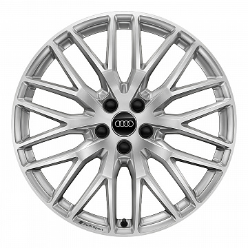 Кованые диски Audi Sport 10 Y Spoke v1