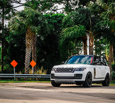Vossen UV-2