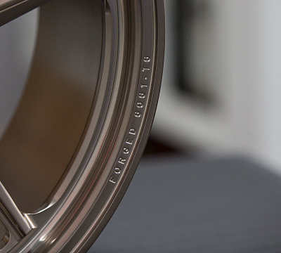Vossen ML-X1