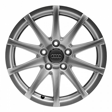 Кованые диски Audi 10 Spoke v26