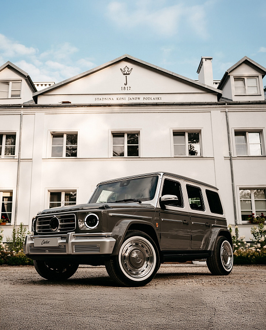 Фото дисков Vintage Другой цвет на Mercedes-Benz G-Class III