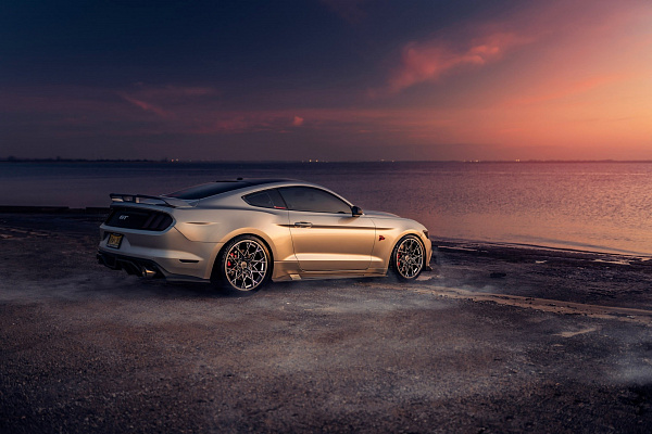 Фото дисков HRE FF10 Серебро на Ford Mustang VI