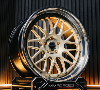 MV Forged HS10
