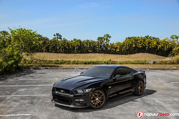 Фото дисков Vossen VFS-10 Глянцевая бронза на Ford Mustang VI