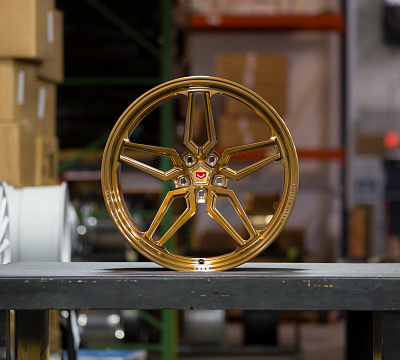 Vossen ML-X1