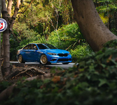 Фото дисков HRE 501 на BMW 2/M2 (F22/F87)