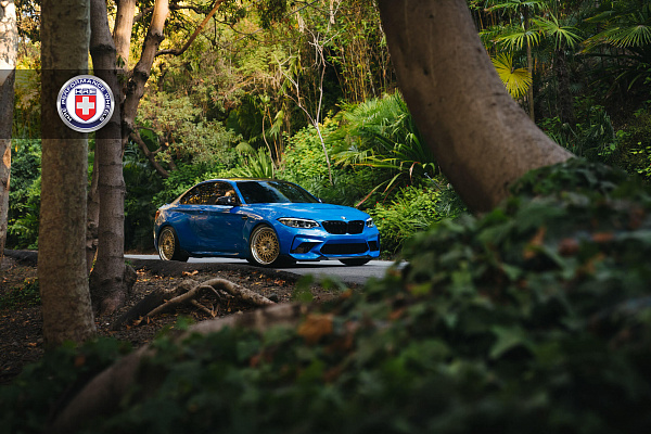 Фото дисков HRE 501 Глянцевый графит на BMW 2/M2 (F22/F87)