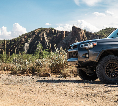Black Rhino RAID